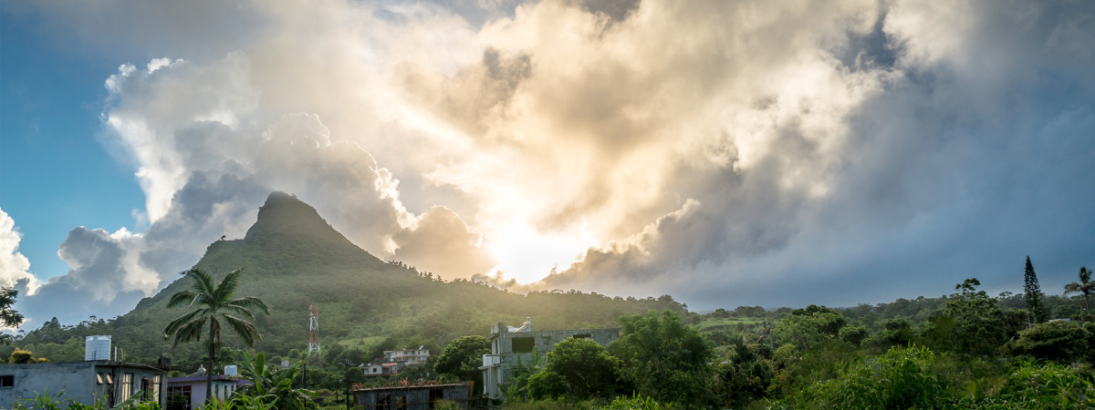 Agricultural Export Surge: Record $50 Billion Target